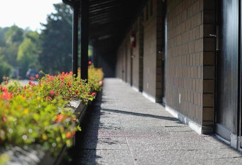 Номер Стандарт Трехместный, Sommerau