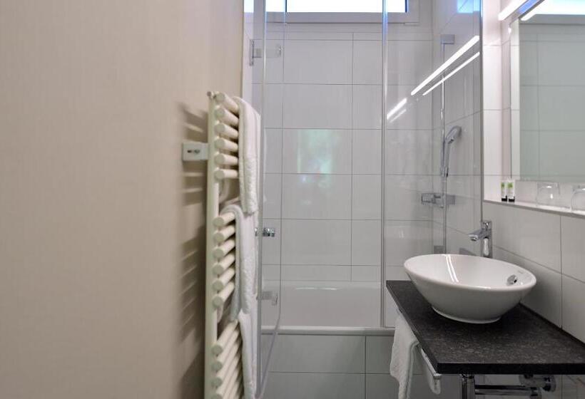 Номер Economy, Sommerau