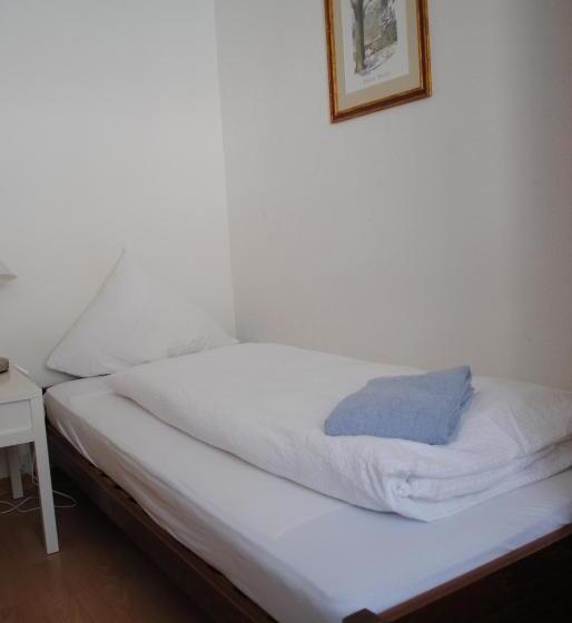 חדר סטנדרד יחיד חדר אמבטיה משותף, Weisses Kreuz