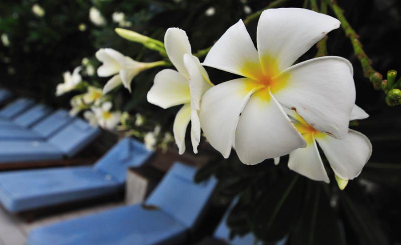 수피리어 룸, Ramada By Wyndham Phuket Southsea