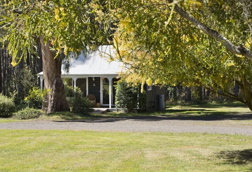 Дом 2 Спальни, Bodhi