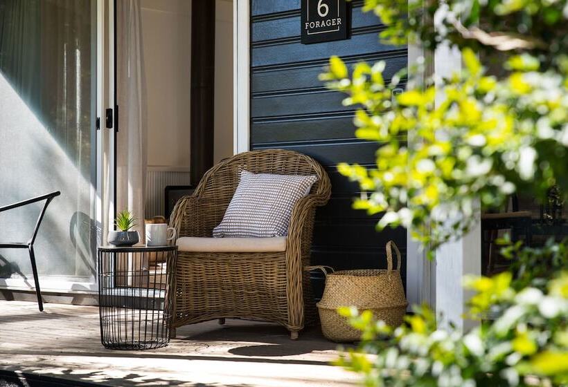 Дом 2 Спальни, Bodhi