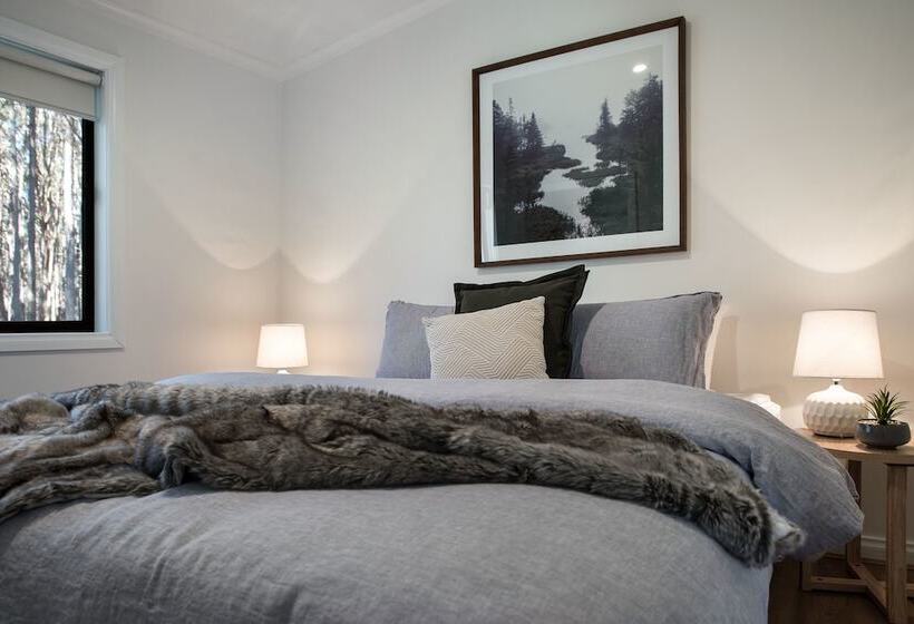 Дом 2 Спальни, Bodhi