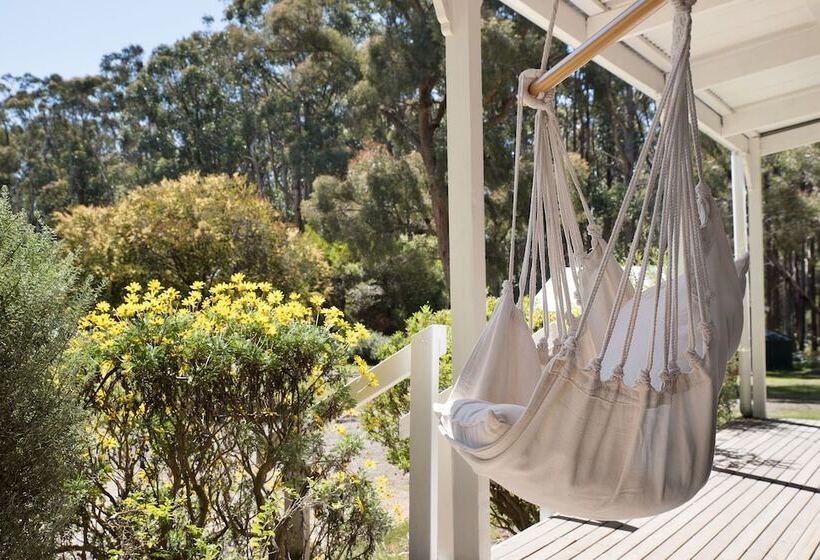 Дом 2 Спальни, Bodhi