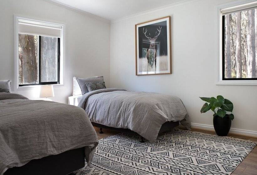 Дом 2 Спальни, Bodhi