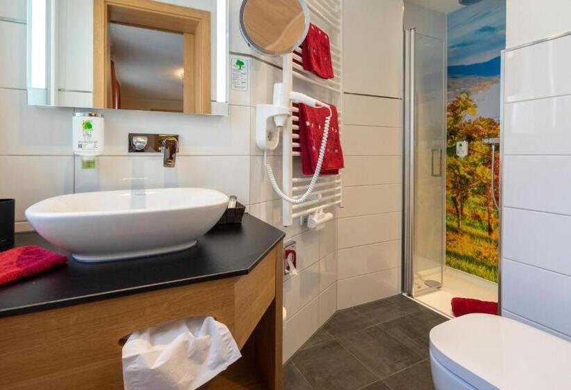 싱글 기본룸, Altkölnischer Hof