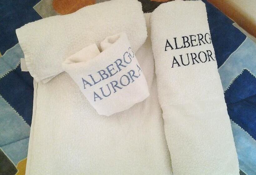 标准单人间, Aurora