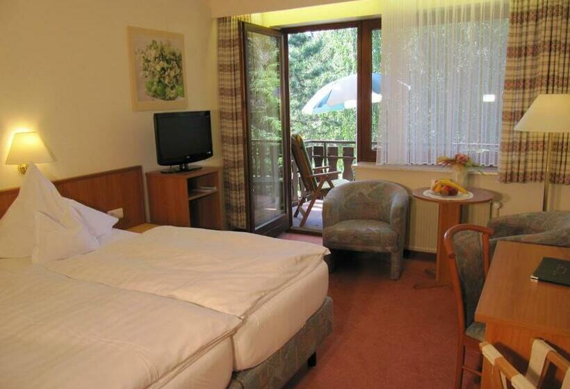 غرفة قياسية, Pension Marie Luise, Hotel Garni