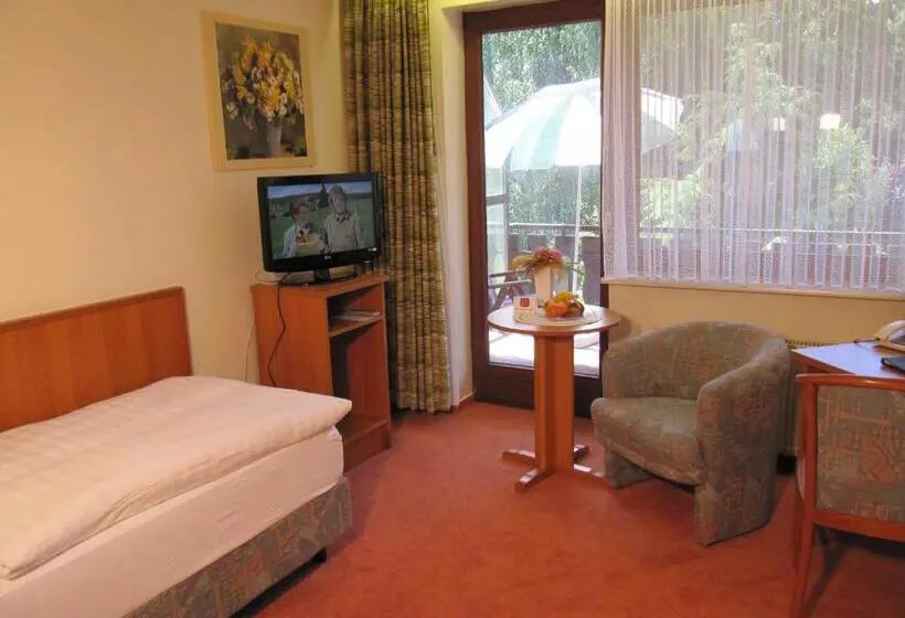 スタンダードシングルルーム, Pension Marie Luise, Hotel Garni