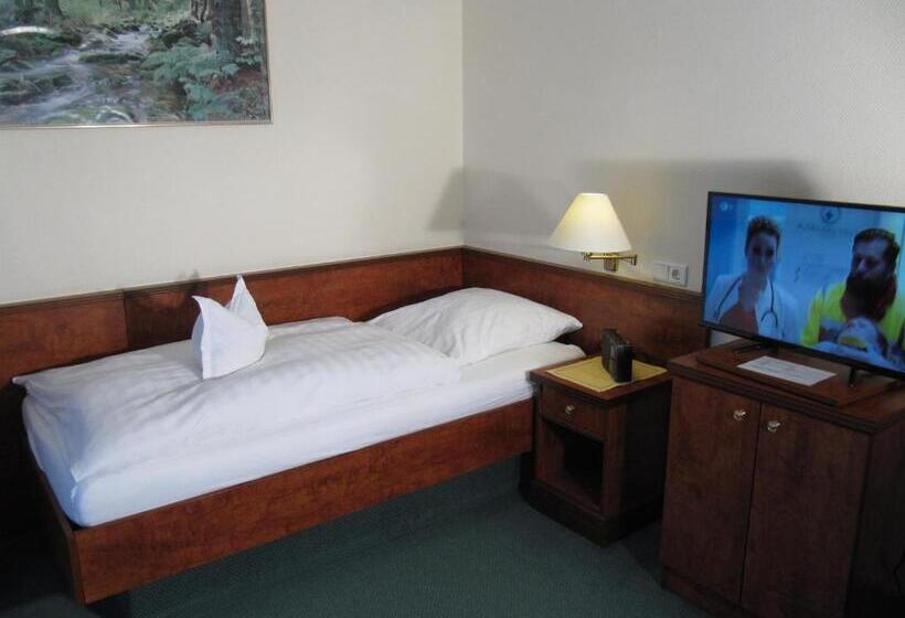 غرفة قياسية فردية, Pension Marie Luise, Hotel Garni