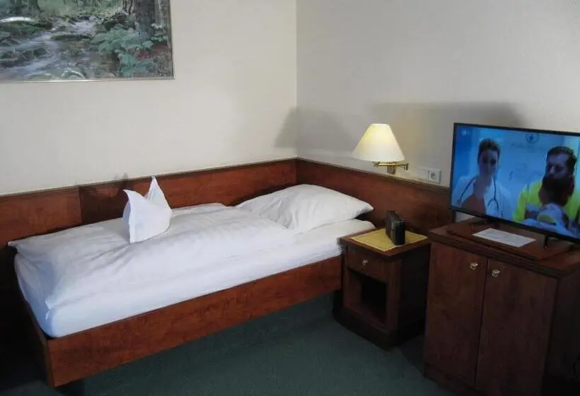 スタンダードシングルルーム, Pension Marie Luise, Hotel Garni