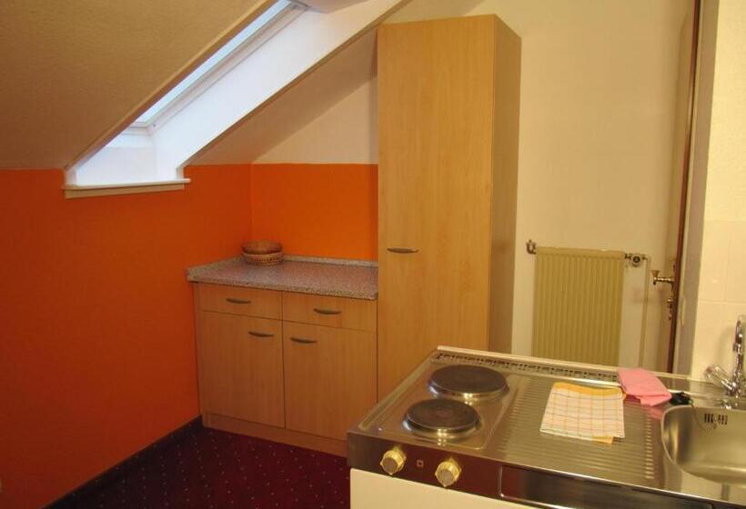 شقة غرفة واحدة, Pension Marie Luise, Hotel Garni