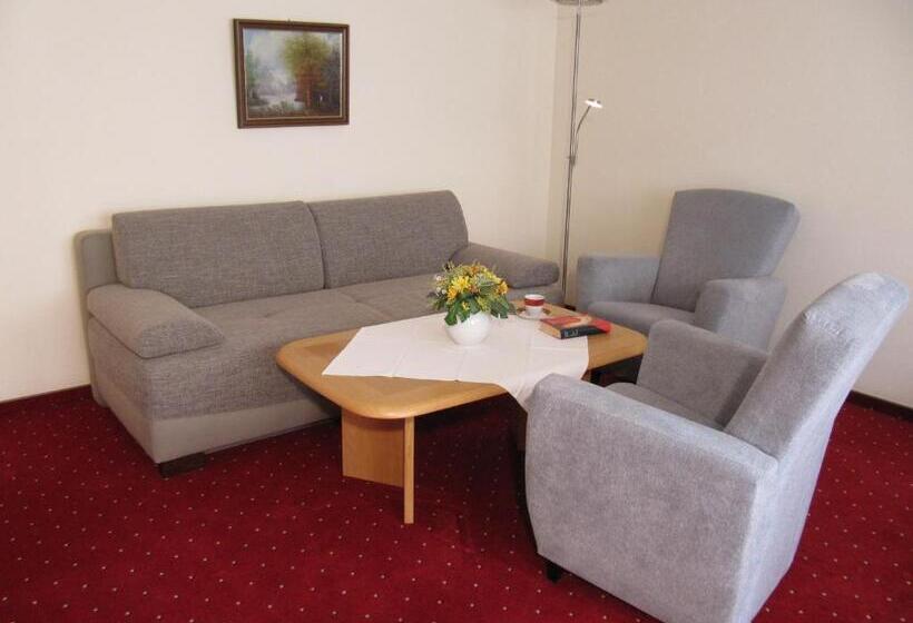 شقة غرفة واحدة, Pension Marie Luise, Hotel Garni