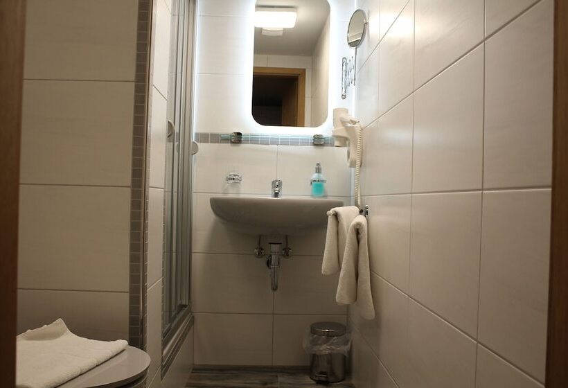 Номер Economy Индивидуальный, Digitales Event & Hochzeitshotel Zum Grünen Baum