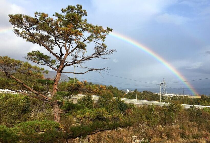 三人经典房间, Biwako Hira