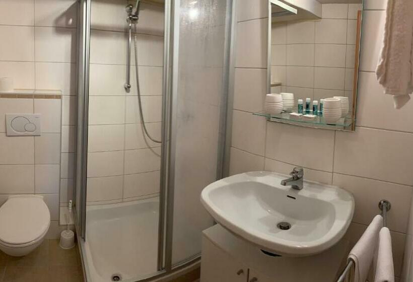 标准单人间, Zum Weißen Ross