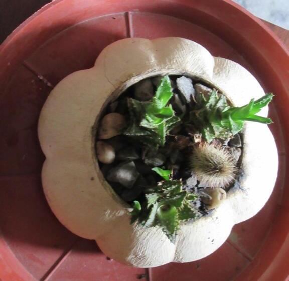 اتاق راحتی سه تخته, Stupa View Inn