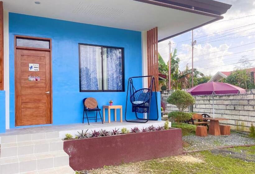 استودیو خانوادگی, Blue Summer Suites