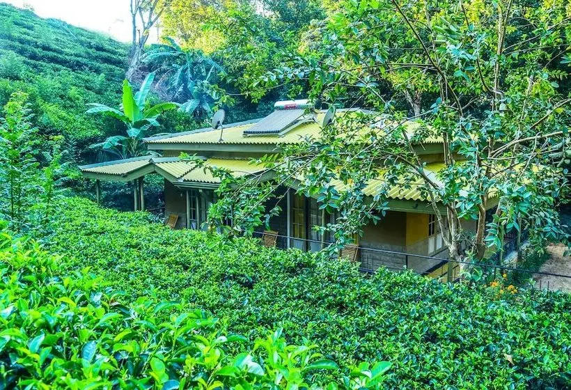 スーペリアファミリールーム, Train View Chalet