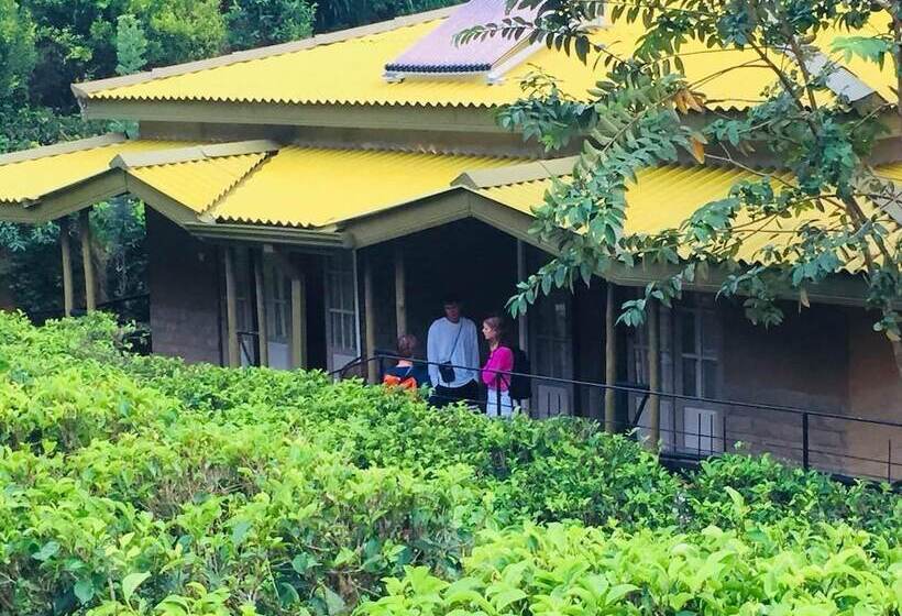 شاليه غرفة نوم واحدة, Train View Chalet