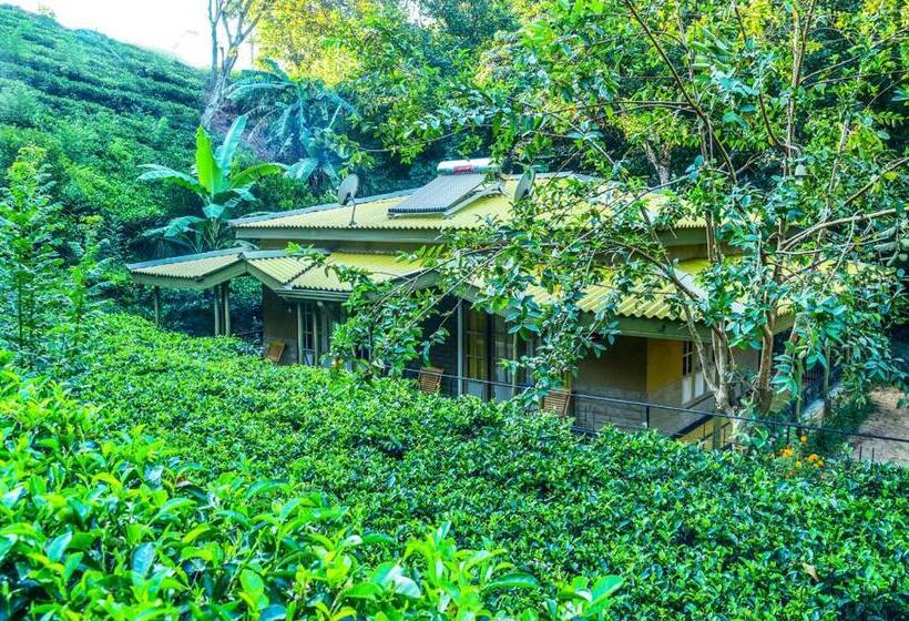 شاليه غرفة نوم واحدة, Train View Chalet