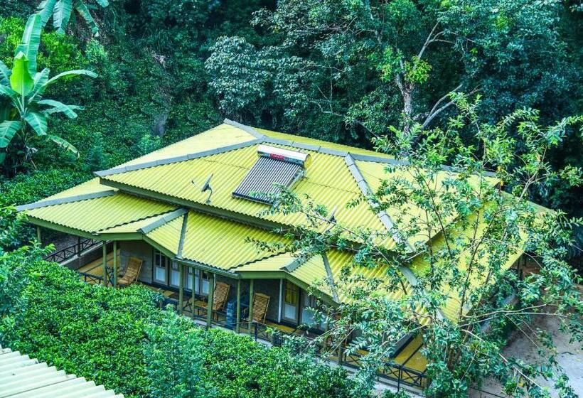 شاليه غرفة نوم واحدة, Train View Chalet