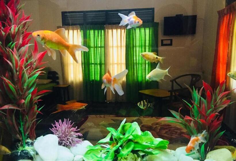 غرفة سوبيريور ثلاثية, Train View Chalet