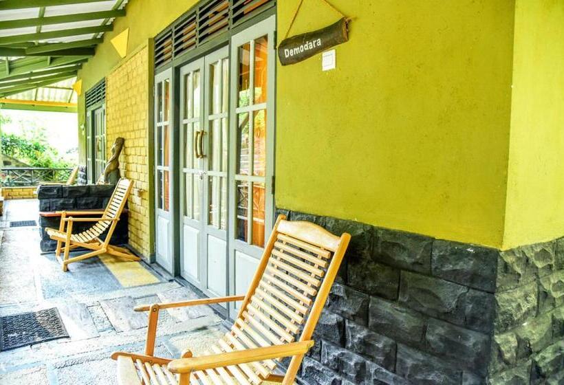 غرفة سوبيريور عائلية, Train View Chalet