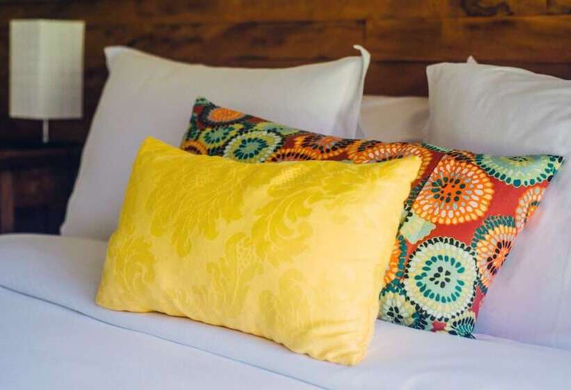 סטודיו סטנדרט מיטה זוגית, Pousada Tucano Do Cuiabá