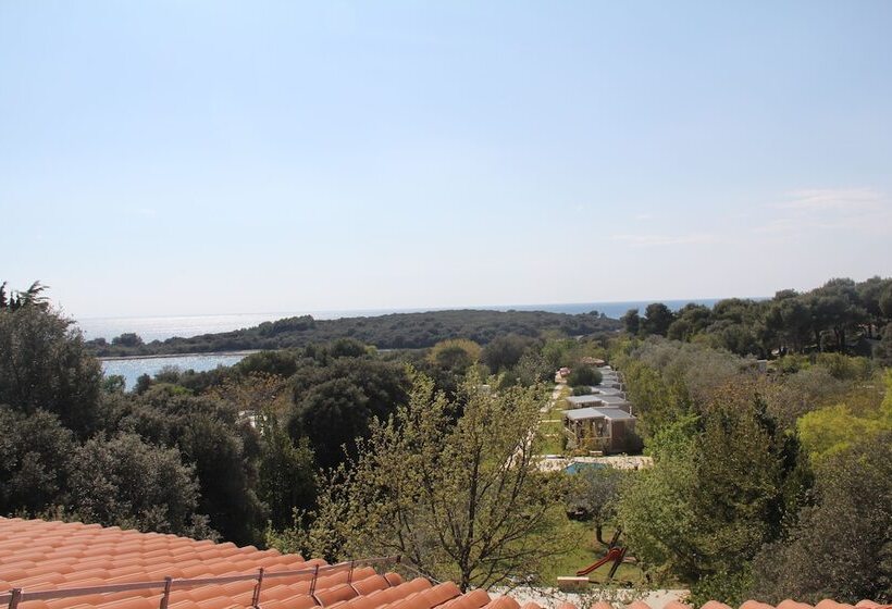 شقة غرفة واحدة مطلة على البحر, Villa Elizabeta