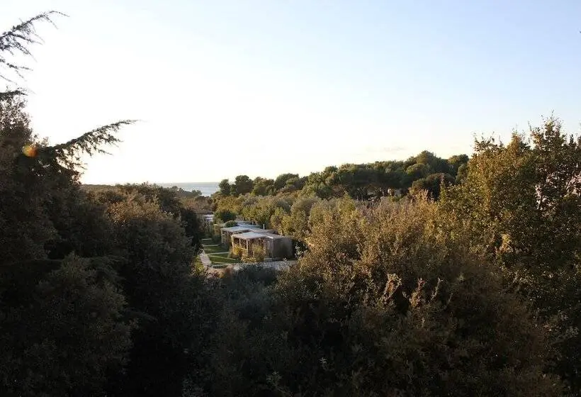 1 Bedroom Apartment Sea View