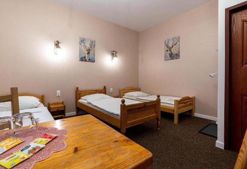 اتاق کلاسیک سه تخته, Pensjonat Beskidzki