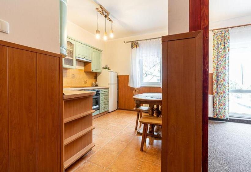 آپارتمان اکونومی 1 خوابه, Pensjonat Beskidzki