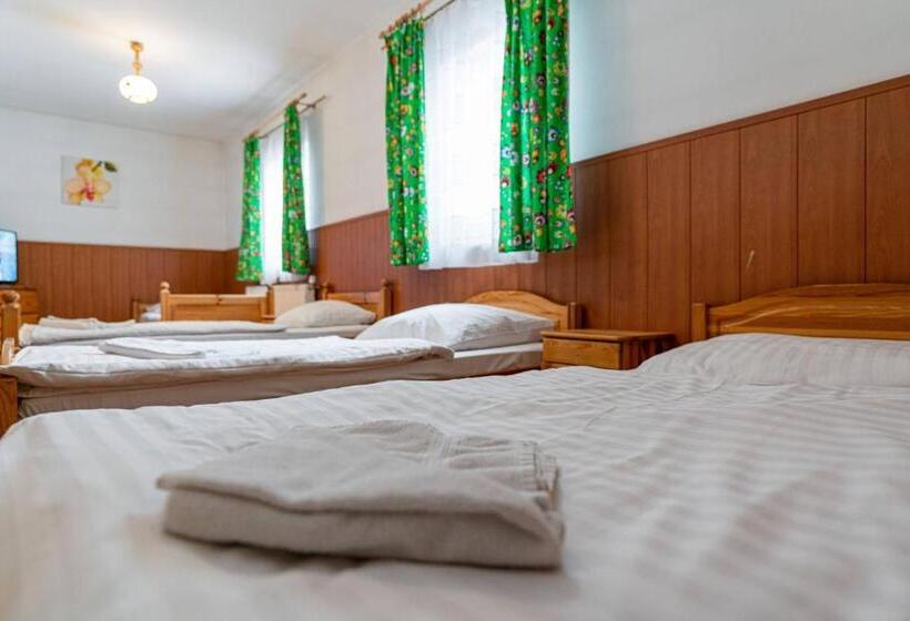 اتاق استاندارد چهار تخته, Pensjonat Beskidzki