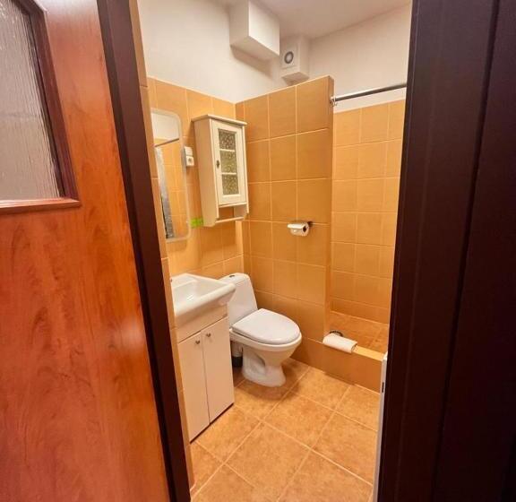 استودیوی استاندارد, Pensjonat Beskidzki