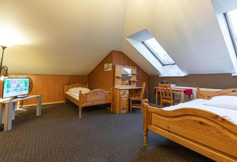 اتاق استاندارد, Pensjonat Beskidzki