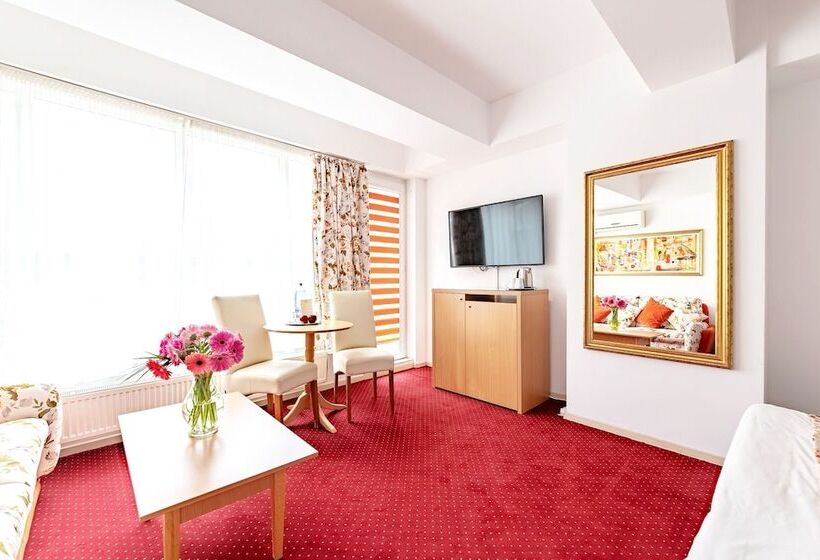اتاق سوپریور با بالکن, Bucur Accommodation