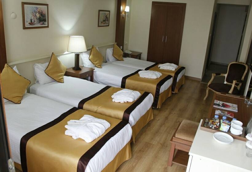 اتاق خانوادگی, Hamidiye