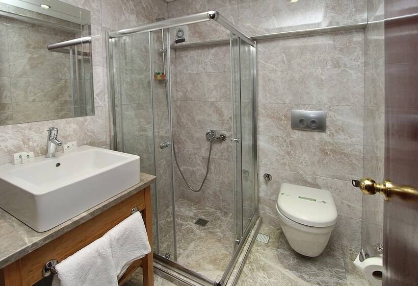 اتاق استاندارد, Laleli Gonen