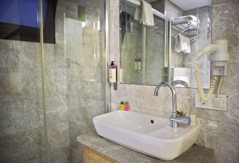 اتاق استاندارد سه نفره, Laleli Gonen