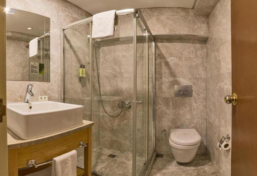 اتاق استاندارد یک نفره, Laleli Gonen