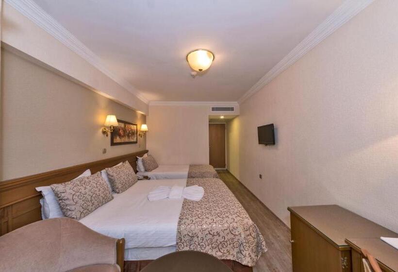 اتاق استاندارد سه نفره, Laleli Gonen