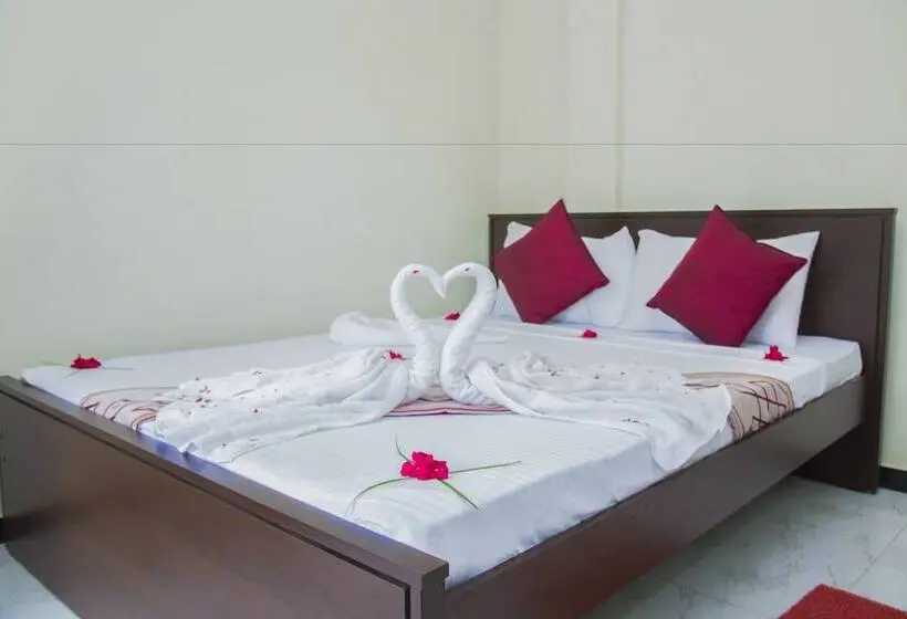 اتاق لوکس, Aainn Guest