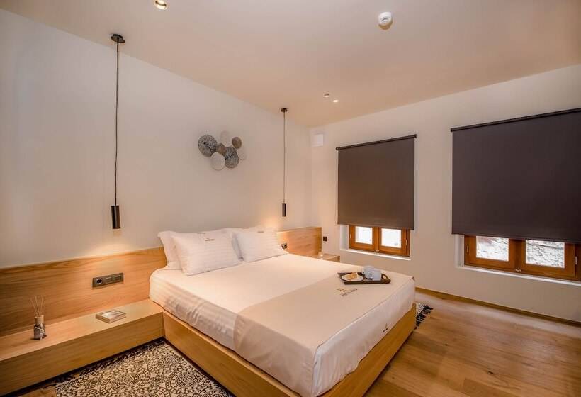 اتاق سوپریور, Portou House