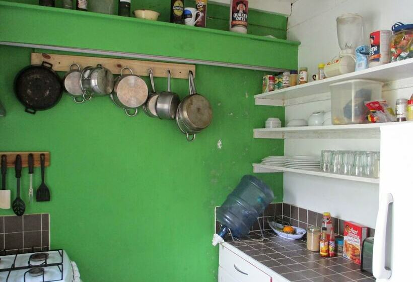 اتاق استاندارد با سرویس بهداشتی مشترک, Kingsworth Bed And Breakfast