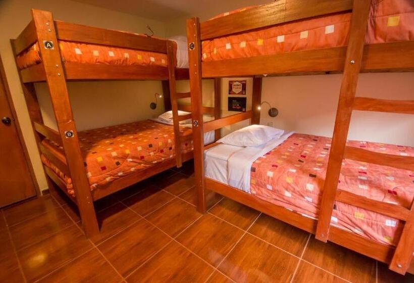 Yatak Paylaşımlı Oda, Casa Machu Picchu Hostel