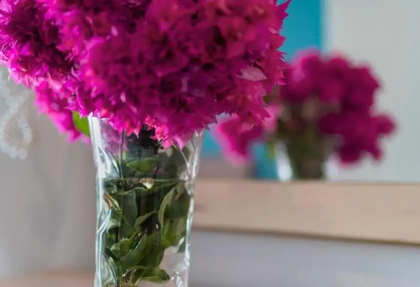 اتاق استاندارد, Poseidon Apartments