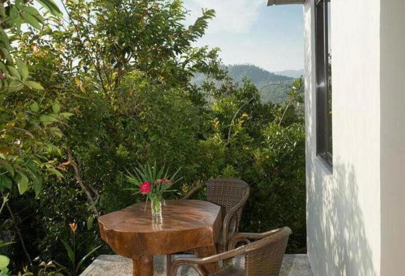 اتاق سوپریور, The Riverhouse