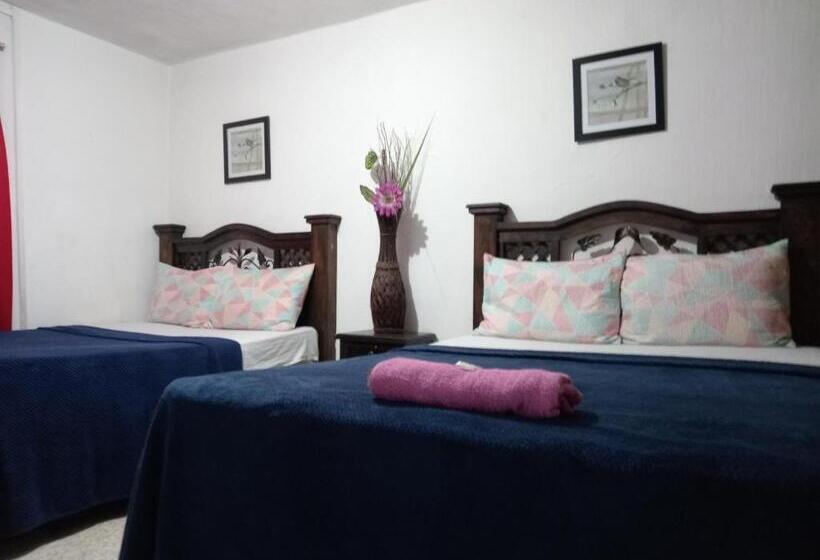 اتاق اکونومی, Historico Maya