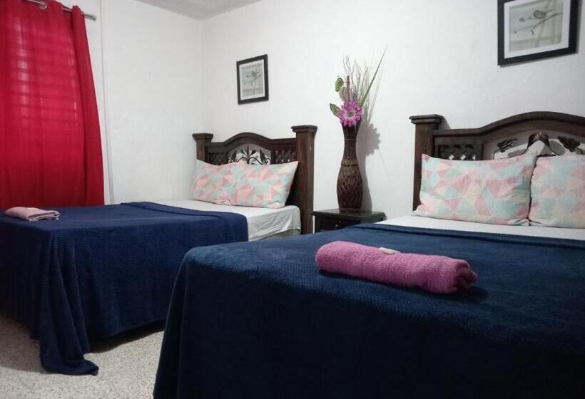 اتاق اکونومی, Historico Maya